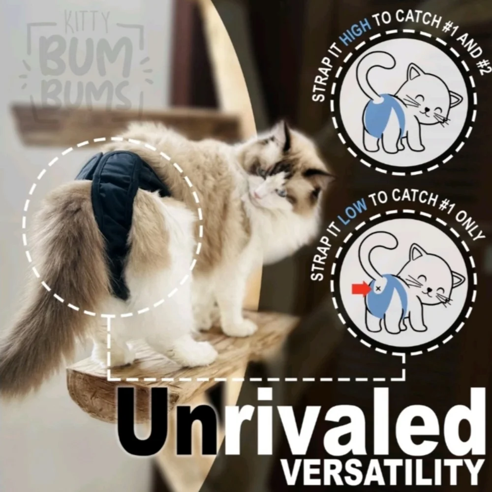 1 Kitty Bum Bums Reusable Cat Small Dog Diapers Stud Pants Prevent Pee Marking